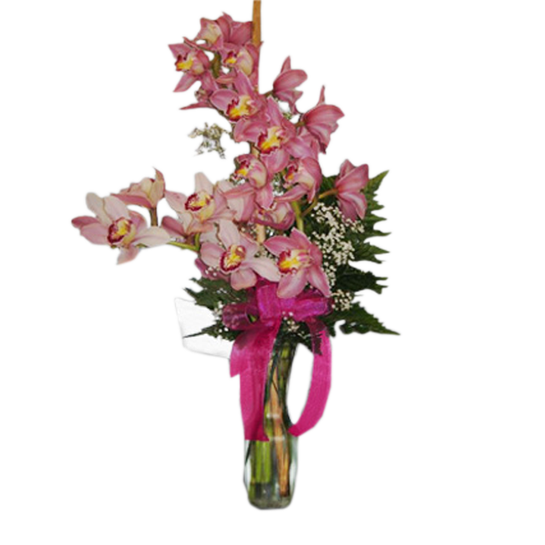 Cymbidium Orchid Vase