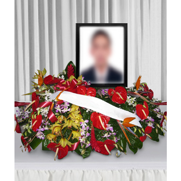 Tropical Memorial