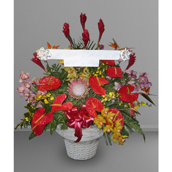 Tropical Remembrance With Banner