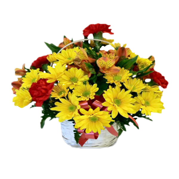 Bright Basket