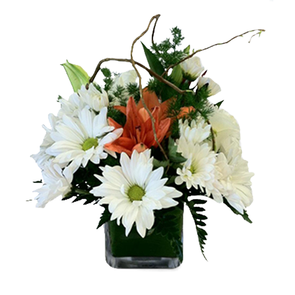 Sheltered Lilies