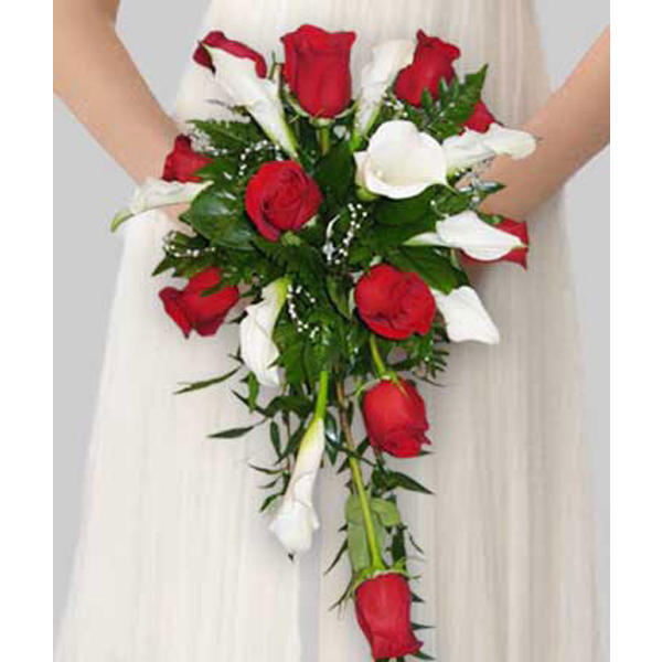Calla Love
