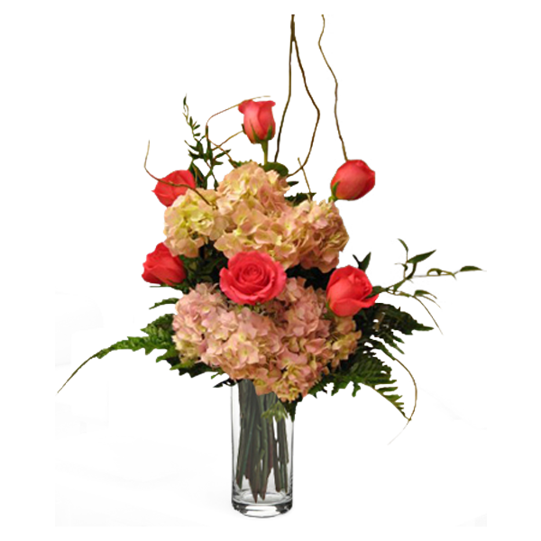 Hydrangeas and Roses
