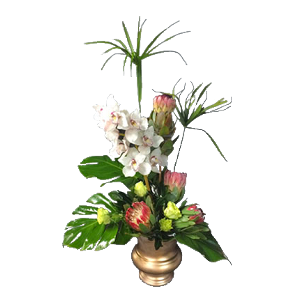 Delightful Tropicals