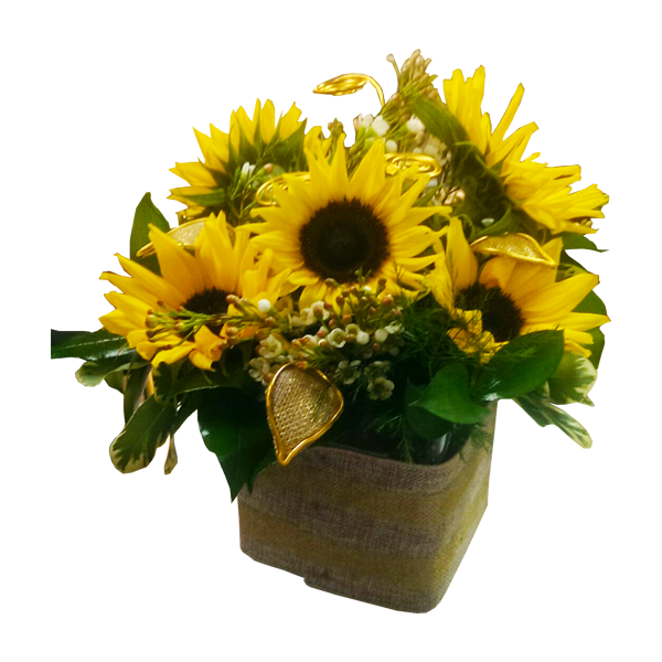 Sunflowers in Gold