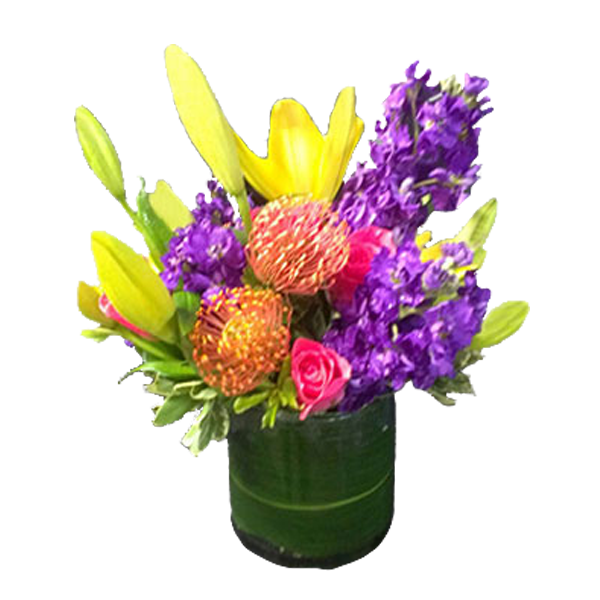Pincushion Mix