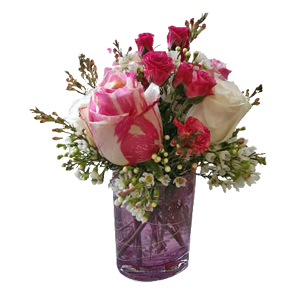 Pink Delight
