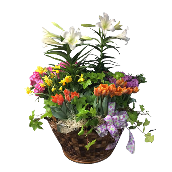 Spring Bloom Extravaganza