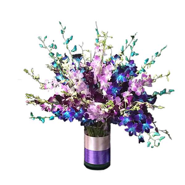 Gala Of Orchids