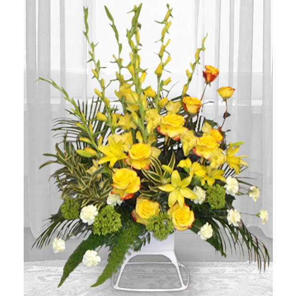 Sunny Remembrance