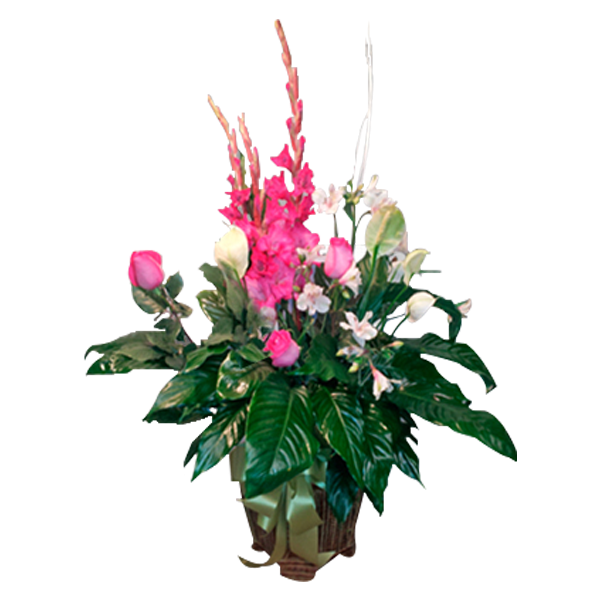 Loving Blooms