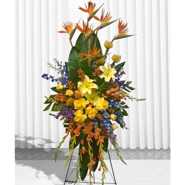 Tropical Tribute