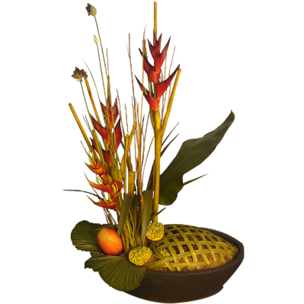 Tropical Heliconia