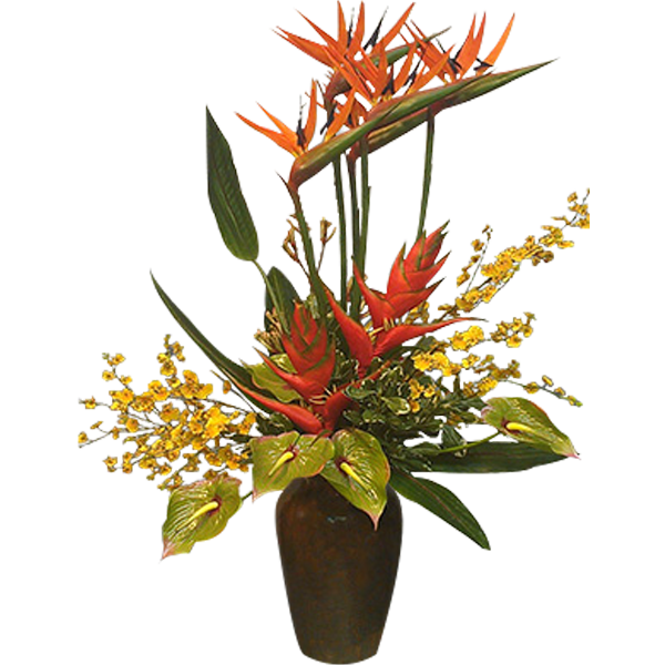 Exquisite Tropicals