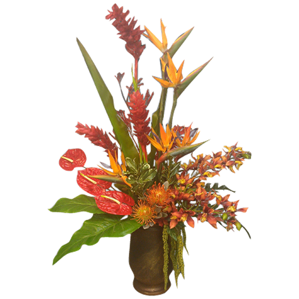 Red-Orange Tropical