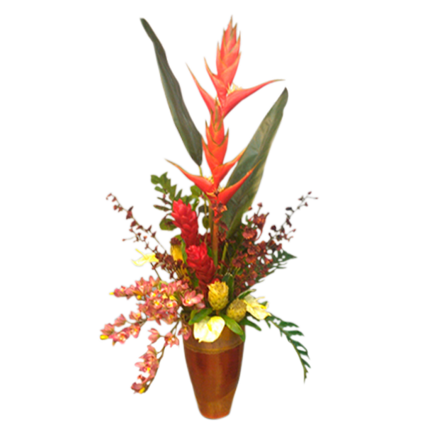 Tropical Botanicals