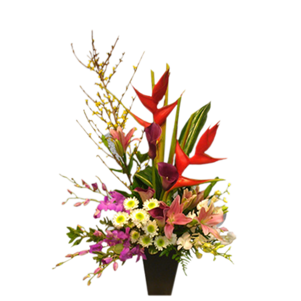 Tropical Touch