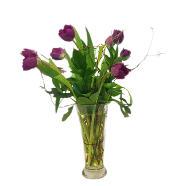 Dancing Tulips
