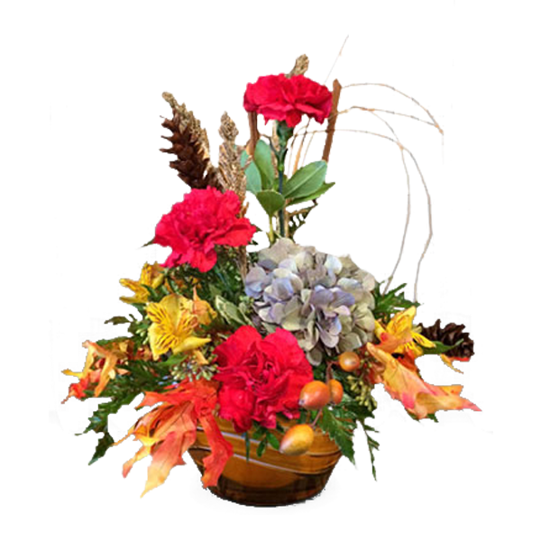 Autumn Splendor