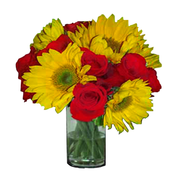 Red and Yellow