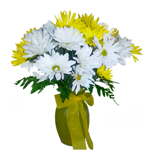 Pick A Daisy