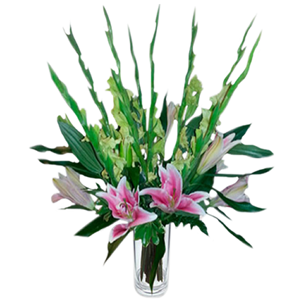 Encircled Glads