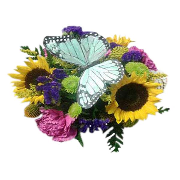 Butterfly Bouquet