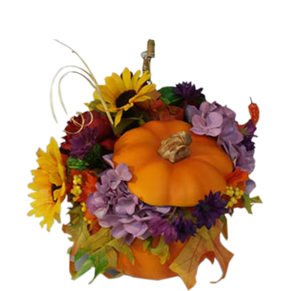 Autumn Pumpkin