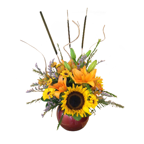 Burst of Cattails