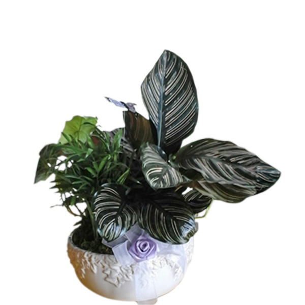 Planter