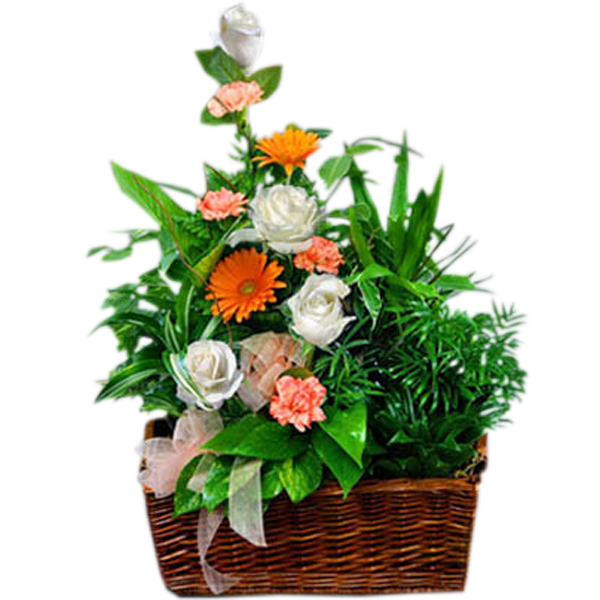 Garden With Flowers
