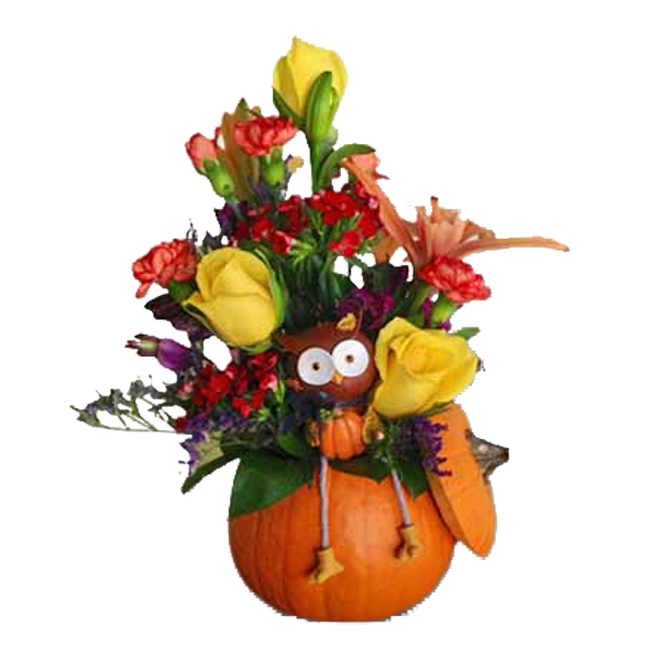 Pumpkin Owl