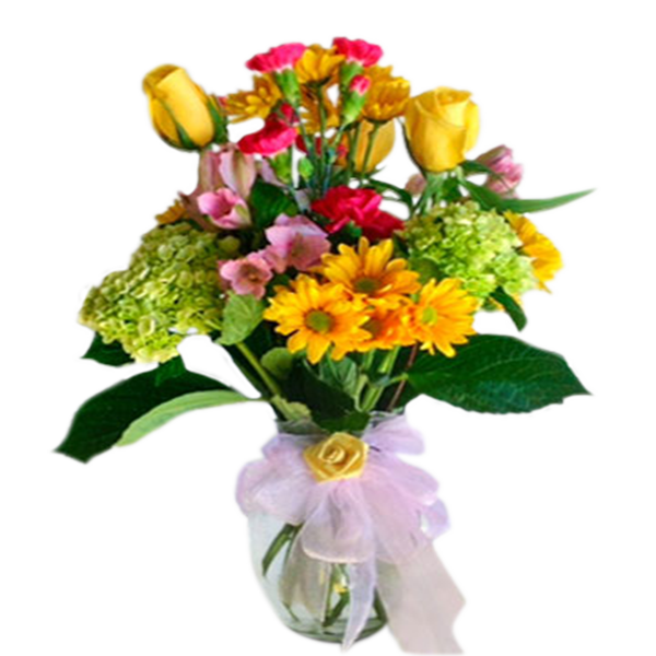 Get Well Wishes