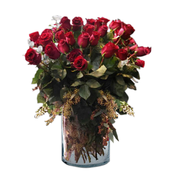 Rose Spectacular