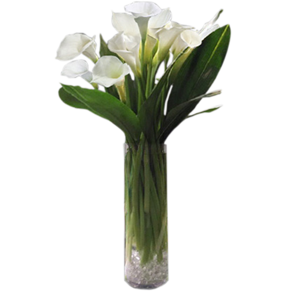 Elegant Callas