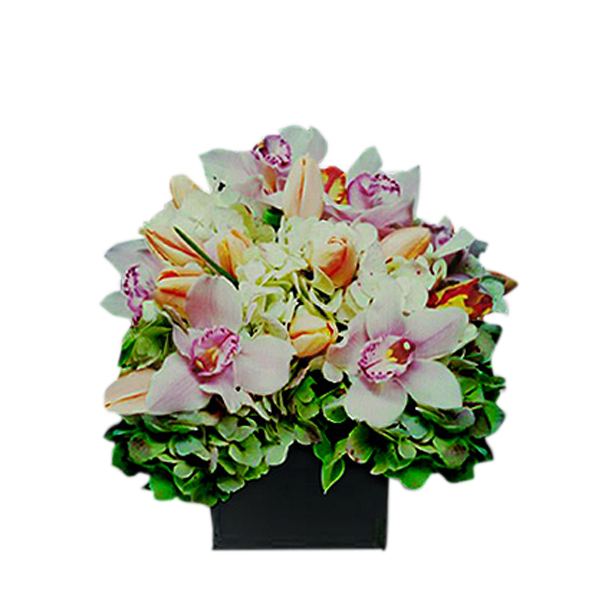 Spring Elegance