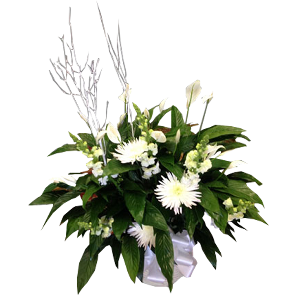 Winter Spath