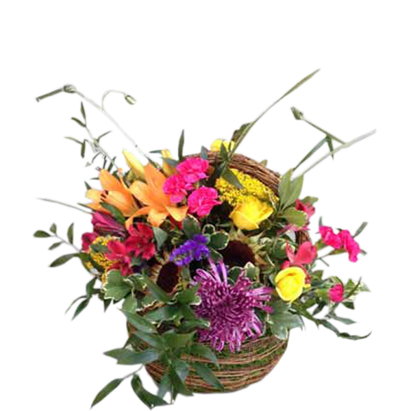 Brilliant Basket
