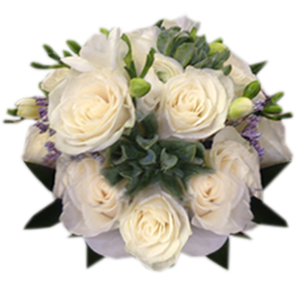 Love’s Purity