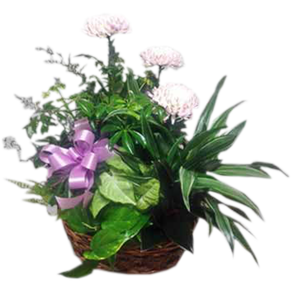 Planter with Fresh