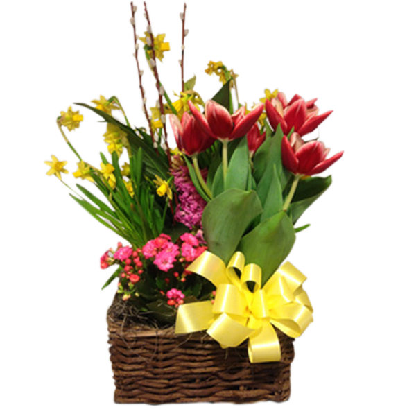 Blooming Spring Planter