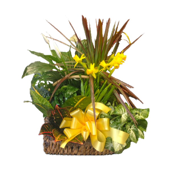 Spring Planter