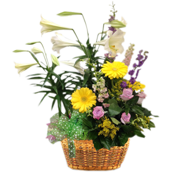 Easter Surprise