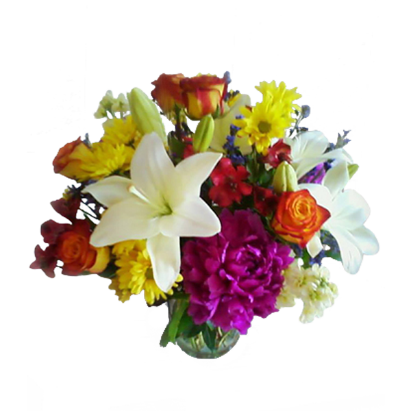 Color Burst