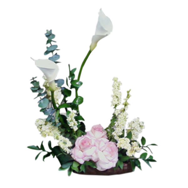 Arched Elegance