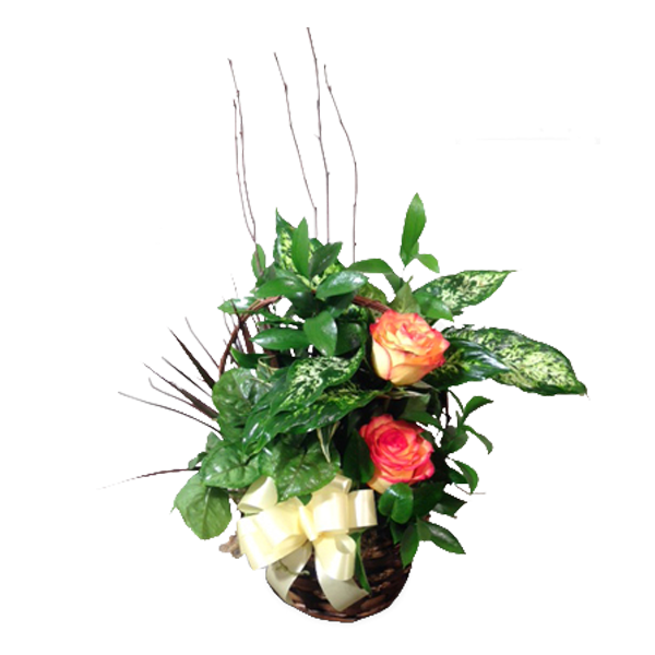 Planter with Roses