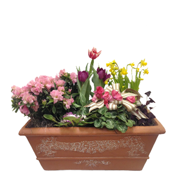 Spring Garden