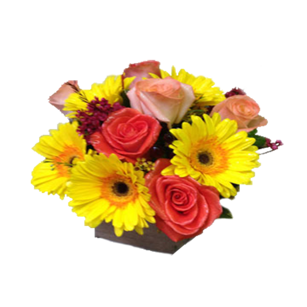 Roses with Sunshine