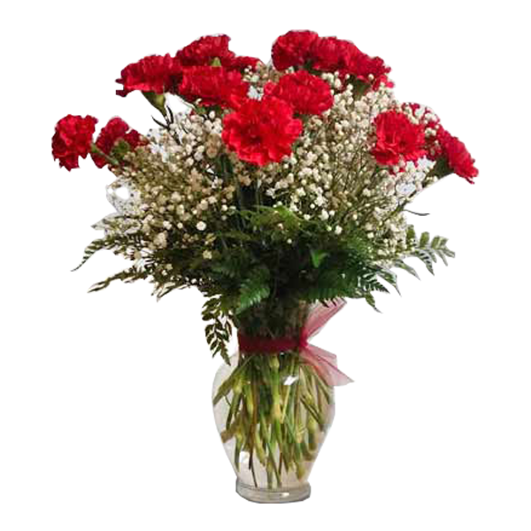 Captivating Carnations