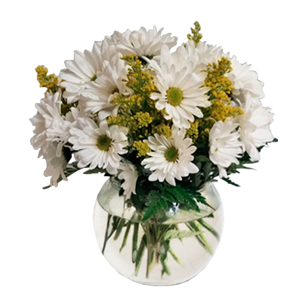 Daisy Bowl